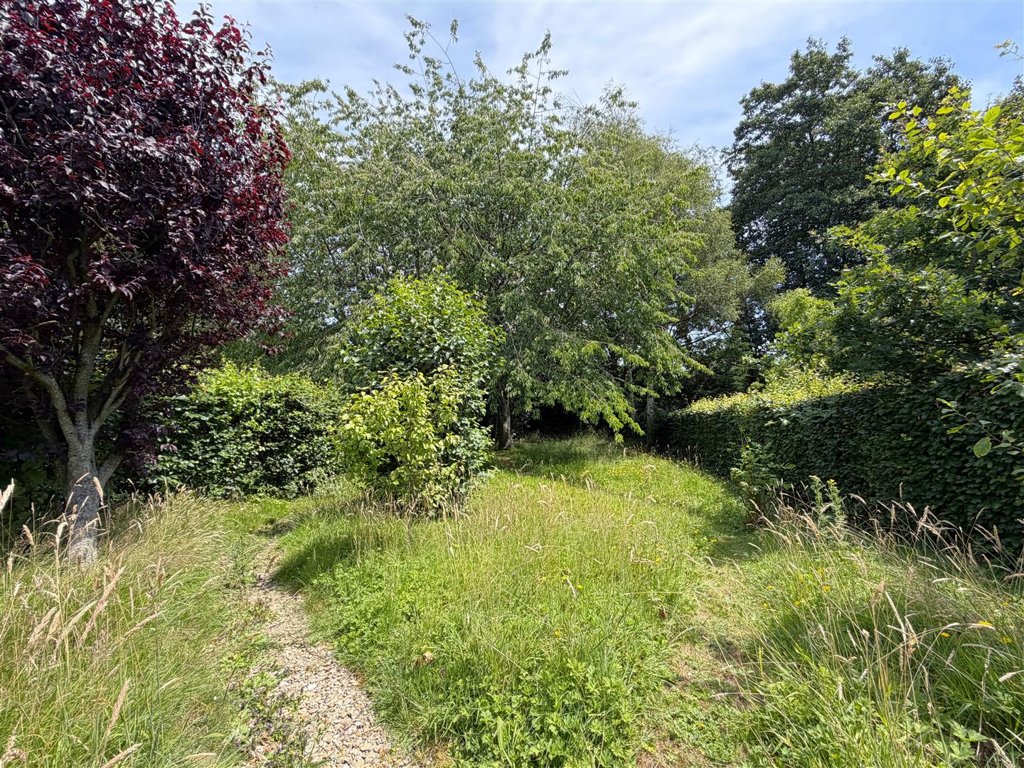 St. Lukes Drive, 